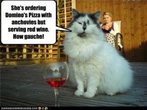 LOLCats gaucherie