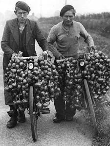 True Onion Johnnies. Not wearing striped shirts, but they've got berets.
